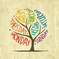 Pixwords The image with monday, tuesday, friday, sunday, wednesday, saturday, thursday, tree Kydriashka